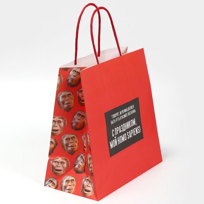 Пакет подарочный, упаковка, &laquo;Обезьяна&raquo;, 22 х 22 х 11 см