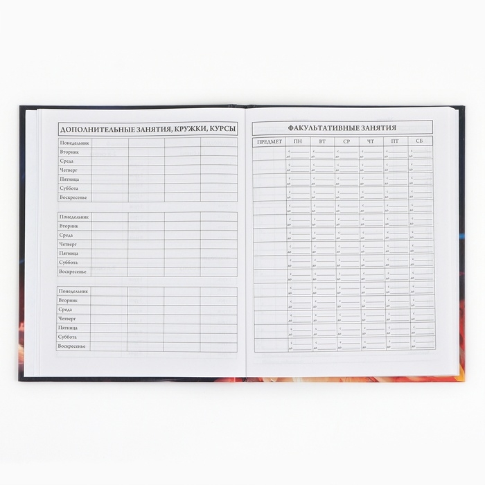 Дневник школьный 1-4 класса, в твердой обложке, 48 л &laquo;Рыжий котенок&raquo;