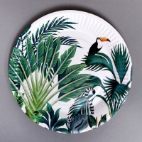 Тарелки бумажные &laquo;Тропики&raquo;, в наборе 6 штук