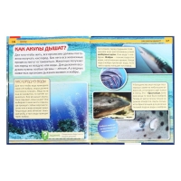 Энциклопедия с развивающими заданиями &laquo;Акулы&raquo;