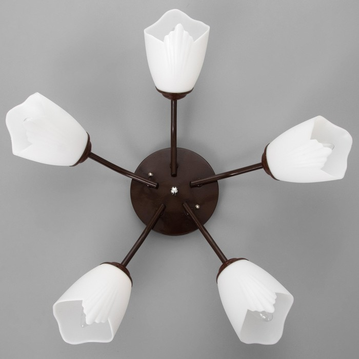 Люстра Оникс 5х15Вт E27 коричневый 52х52х15см BayerLux