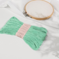 Набор ниток мулине №959, 8 &plusmn; 1 м, 6 шт, цвет морская вода