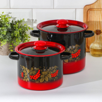 Набор кастрюль &laquo;Рябинка&raquo;, 2 предмета: 3,5 л, 5,5 л, индукция