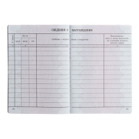 Вкладыш в трудовую книжку без голограммы