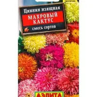 Семена цветов Цинния Махровый кактус, смесь сортов , Ц/П,0,3 г