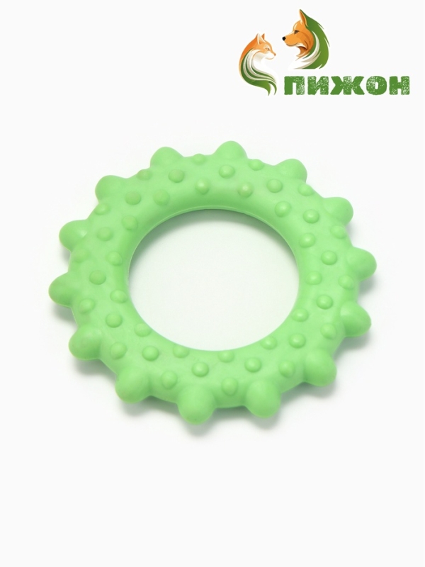 Игрушка жевательная "Кольцо с шипами", TPR, 8,5 см, зелёная