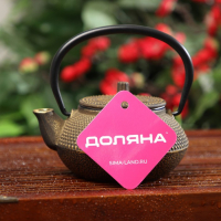 Чайник для плиты Доляна &laquo;Восточная ночь. Золото&raquo;, 300 мл, с ситом, чугун, индукция, цвет золотой