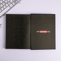 Ежедневник творческого человека А5, 120 листов &laquo;Извини, я занята&raquo;