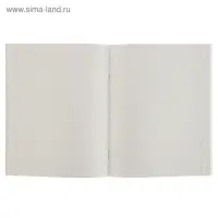 Тетрадь 48 листов в клетку Calligrata &laquo;Россия&raquo;, обложка мелованная бумага, блок №2, белизна 75% (серые листы), МИКС