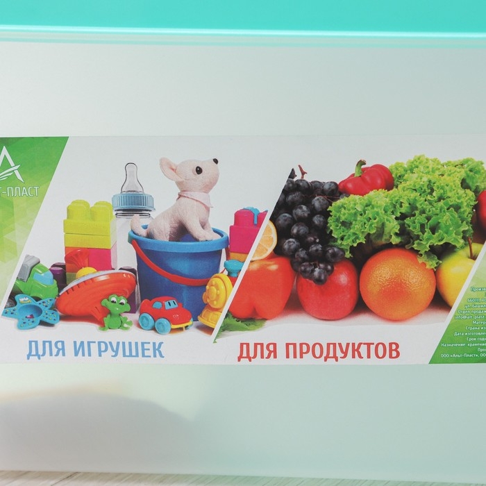 Бокс универсальный для игрушек и продуктов, 10 л, 35,9&times;24,2&times;21,1 см