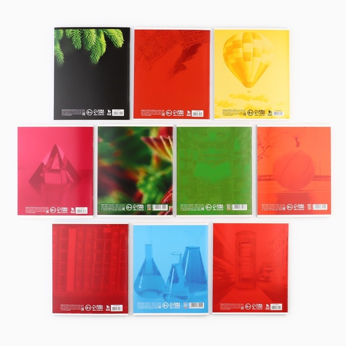 Набор тетрадей 48 листов, 10 предметов со справ. мат. в обечайке &laquo;1 сентября:Школьные предметы&raquo;