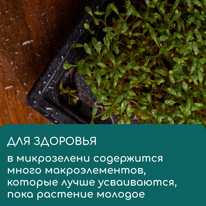 Коврик джутовый для выращивания микрозелени, 10 &times; 15 см, толщина 1 см, набор 5 шт.