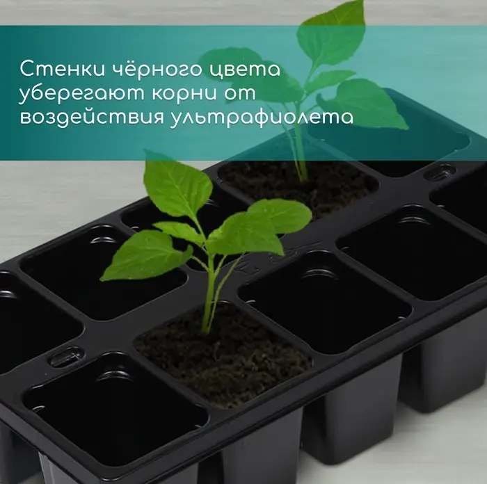 Кассета для рассады Greengo на 10 ячеек, по 100 мл, пластиковая, чёрная, 25&times;14&times;5 см