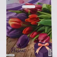 Пакет "Презент, полиэтиленовый с вырубной ручкой 30х40 см, 60 мкм