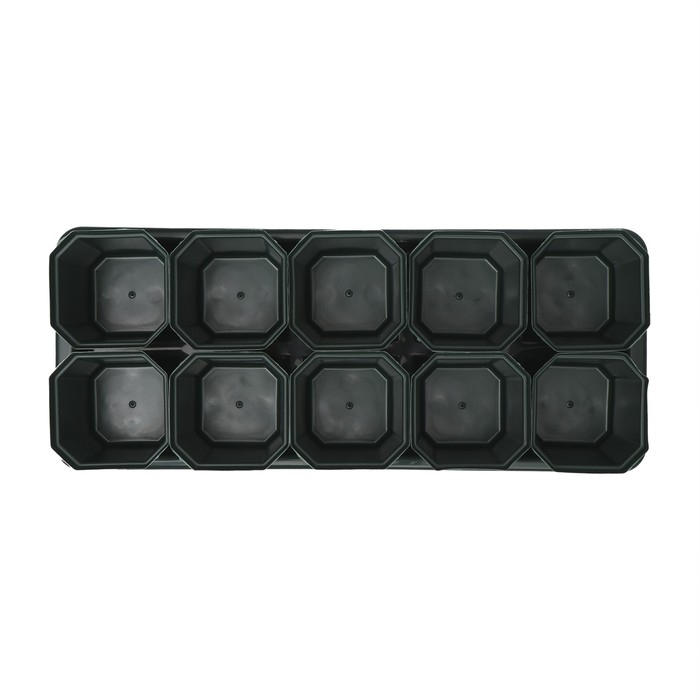 Набор для рассады: стаканы по 300 мл (10 шт.), поддон 41 &times; 17 см, цвет МИКС