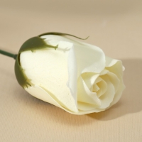 Мыло для рук &laquo;С Праздником весны&raquo;, 1 шт, аромат цветочный, ЧИСТОЕ СЧАСТЬЕ