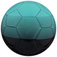 Футбольный мяч MINSA, машинная сшивка, 32 панели, р. 5, TPU