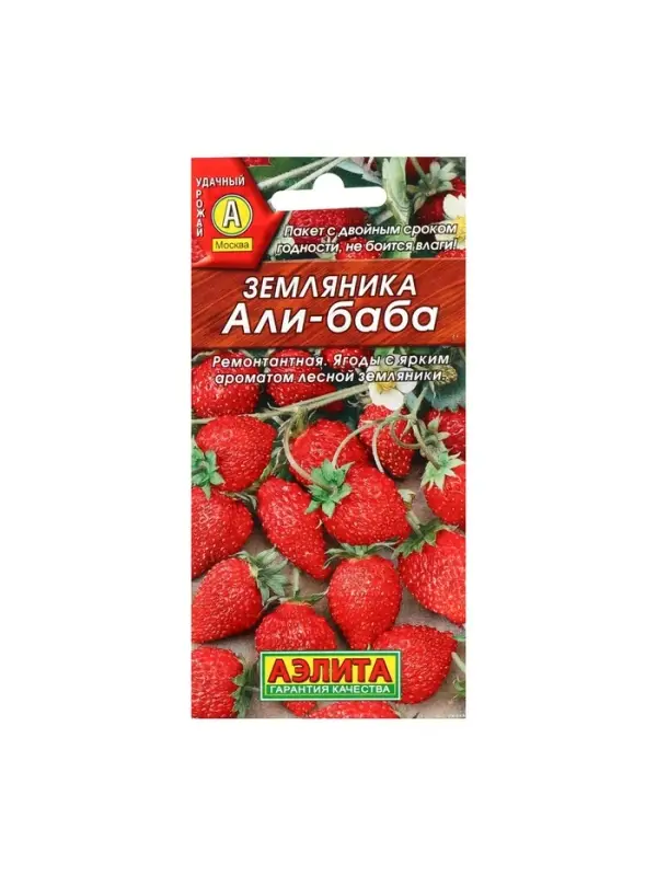 Набор семян Земляника "Али Баба" ремонтантная, 5 шт.