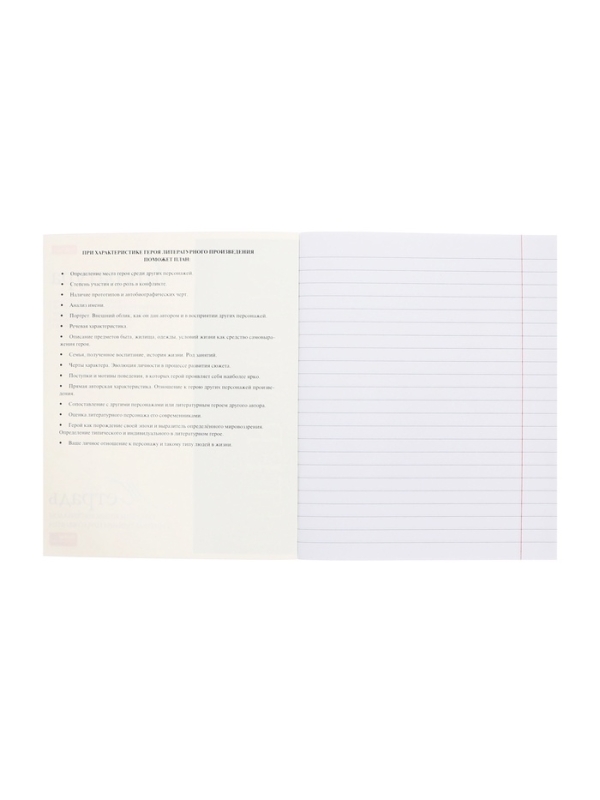 Комплект предметных тетрадей 48 листов, 10 предметов Hatber &laquo;Буквица&raquo;, обложка мелованный картон, матовая ламинация, тиснение фольгой, с интеракт...