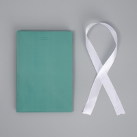 Пакет подарочный с лентой, упаковка, &laquo;Тиффани&raquo;, 13 х 19 х 9 см