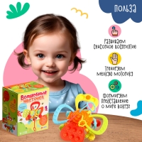 Развивающая игрушка &laquo;Волшебный цветочек&raquo;