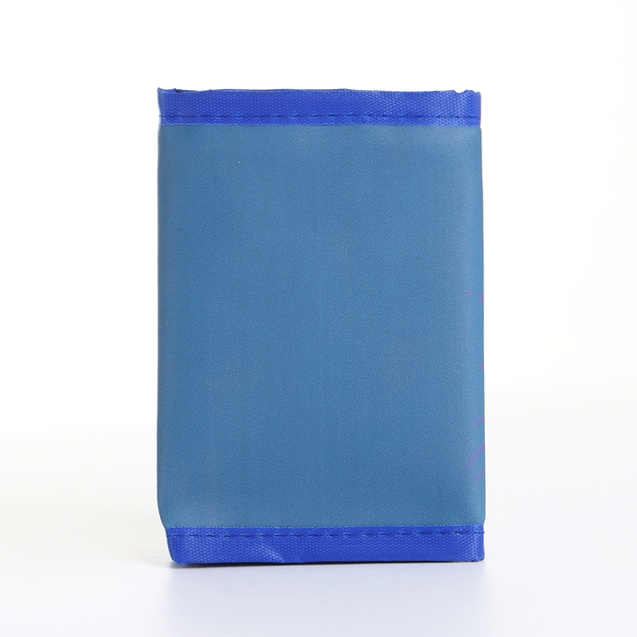 Кошелёк детский на липучке &laquo;Выбражулька&raquo;, цвет синий