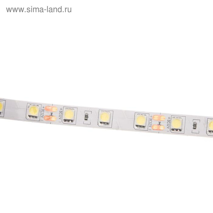 Светодиодная лента Ecola PRO 5 м, IP20, SMD5050, 60 LED/м, 14.4 Вт/м, 12 В, 6000К