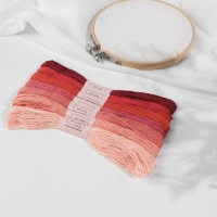 Набор ниток мулине, 8 &plusmn; 1 м, 7 шт, цвет красный спектр