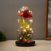 Светильник колба &laquo;Паук с розой&raquo; 1,5Вт, LED, 3xAAA, черный USB 11х11х21см