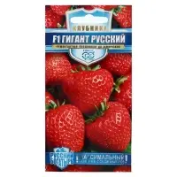 Набор семян Земляника "Гигант русский",  F1, серия Русский богатырь, 3 шт.