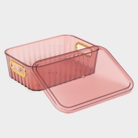 Контейнер для хранения с крышкой &laquo;Грани&raquo;, 25,5&times;18&times;8 см, цвет МИКС