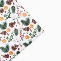 Бумага упаковочная крафтовая &laquo;Шишки и хлопок&raquo;, 50 х 70 см