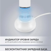 Электрическая зубная щетка PETB 0220 T