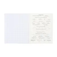 Тетрадь 48 листов в клетку &laquo;Буквица&raquo; ФИЗИКА, обложка мелованный картон, матовая ламинация, тиснение фольгой, с интерактивным справочником, бл...