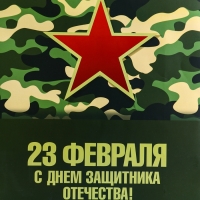 Пакет подарочный вертикальный &laquo;С Днём защитника Отечества! &raquo;, L 31 &times; 40 &times; 12 см