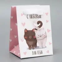 Пакет подарочный ламинированный, упаковка, &laquo;Котики&raquo;, 7&times;10&times;7 см