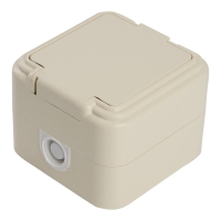 Розетка 1-местная с заземляющим контактом, с крышкой, 250В, 16А, IP44, PST16-21-44 (RA 16-21 1022741