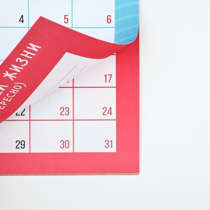 Календарь 2025 настенный, планинг &laquo;Новый год: Это мой год&raquo;, 29 х 21 см