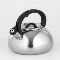 Чайник со свистком из нержавеющей стали Доляна &laquo;Квант&raquo;, 2,8 л, фиксированная ручка, цвет хромированный