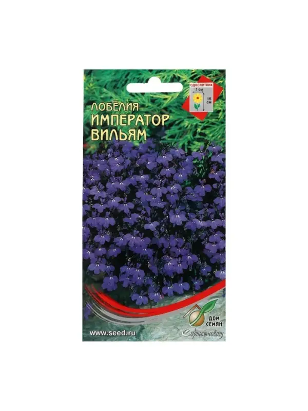 Набор семян Лобелия "Император Вильям", 5 шт.