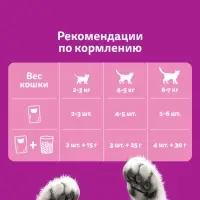 Влажный корм Whiskas для кошек, желе индейка/кролик, 75г