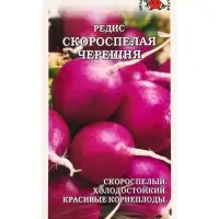 Семена Редис Скороспелая черешня /Сотка/ 1 г/скор./ фиолетовый/ *800