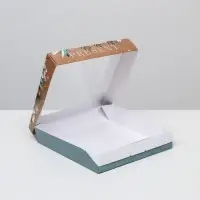 Коробка складная &laquo;Present&raquo;, 20 х 20 х 4 см