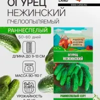Семена Огурец "Нежинский", 0,5 г