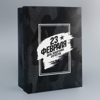 Коробка складная, крышка-дно, "День защитника Отечества", 24 х 17 х 8 см без окна
