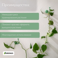 Крепления для вьющихся растений, настенные, самоклеящиеся, &laquo;Улитка&raquo;, d = 10 мм, набор 10 шт., Greengo