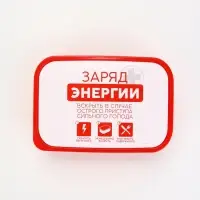 Ланч - бокс &laquo;Заряд энергии&raquo;, 1200 мл
