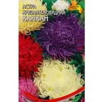 Семена цветов Астра хризант.Канкан смесь 100 шт