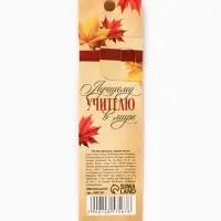 Ручка автоматическая на подложке "Лучшему учителю в мире", пластик, синяя паста 0.7 мм