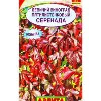 Семена цветов Девичий виноград Серенада Мн, Ц/П,10 шт.